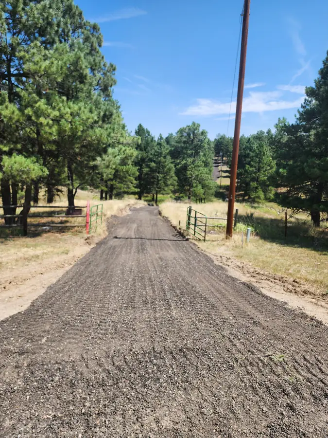 A long, freshly graded gravel driveway running between pine trees and a fence line